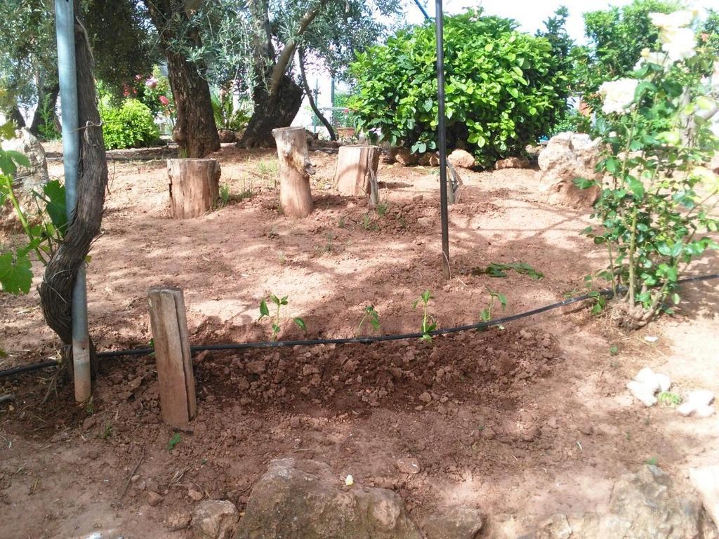 Alojamientos Rurales La Loma Pozo Alcón Extérieur photo