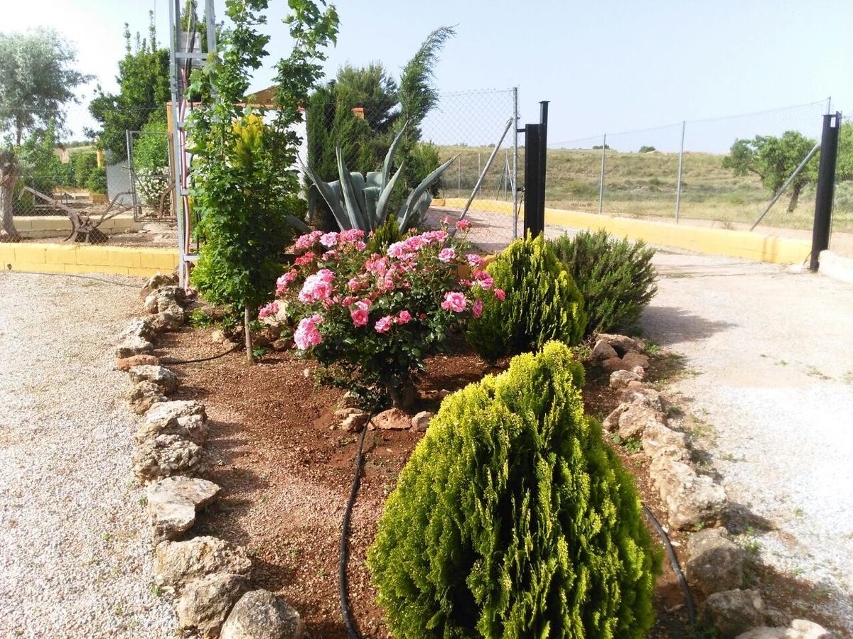 Alojamientos Rurales La Loma Pozo Alcón Extérieur photo